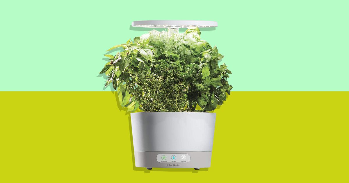 AeroGarden 360 Amazon Sale 2019 | The Strategist