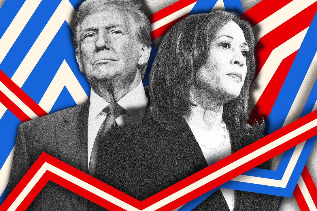 Harris-vs.-Trump Polls: Everything’s Within the Margin of Error