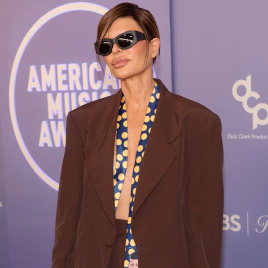 The 52nd American Music Awards - Arrivals