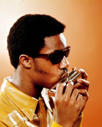 Photo of Stevie WONDER