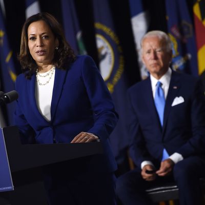 US-POLITICS-VOTE-DEMOCRATS-BIDEN-HARRIS