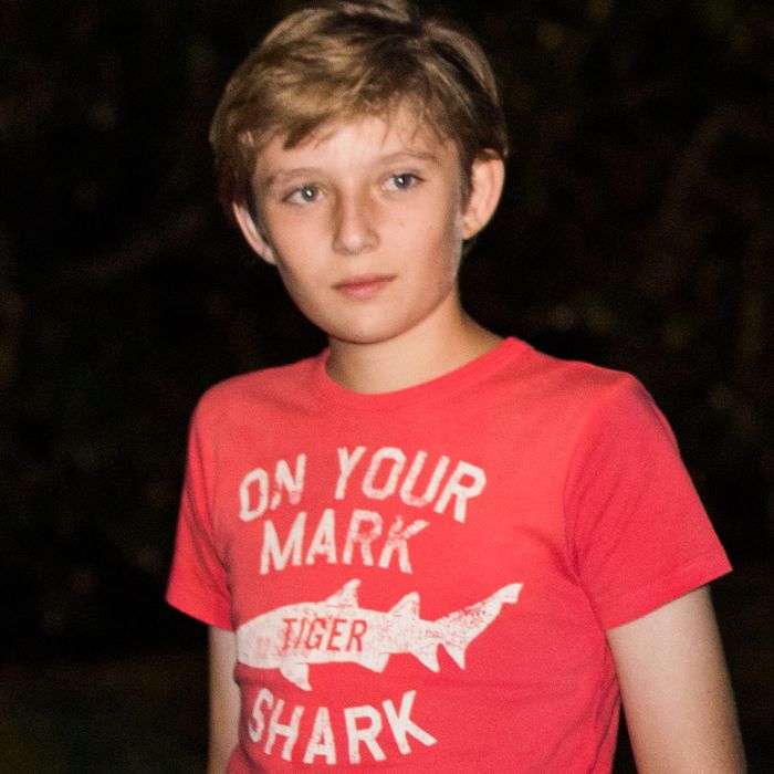 on your mark tiger shark shirt