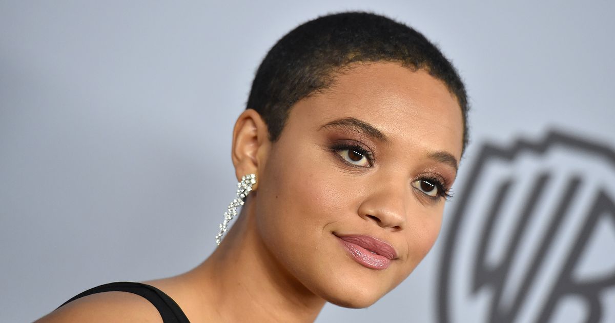 Kiersey Clemons Joins Gael García Bernal In New Zorro Movie 0016