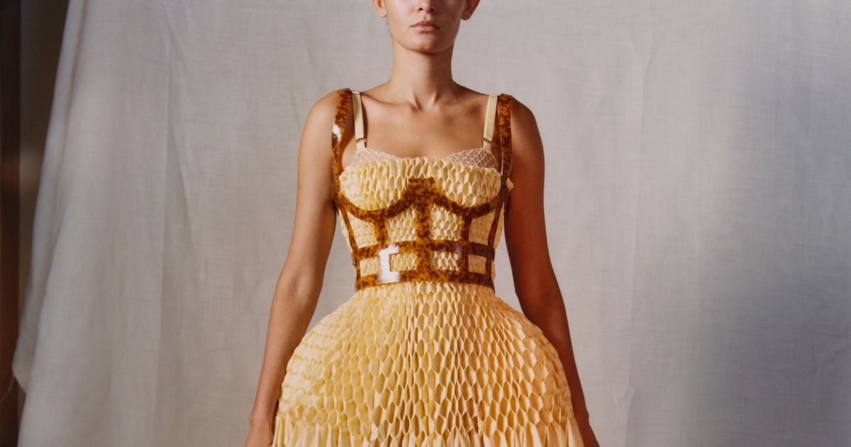 alexander mcqueen bee dress