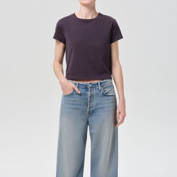 Agolde Low-Slung Baggy Denim