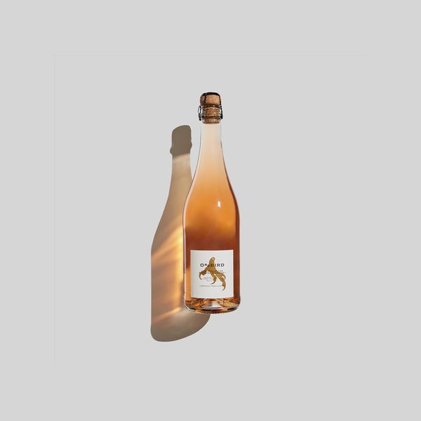 Oddbird Low Intervention Sparkling Orange