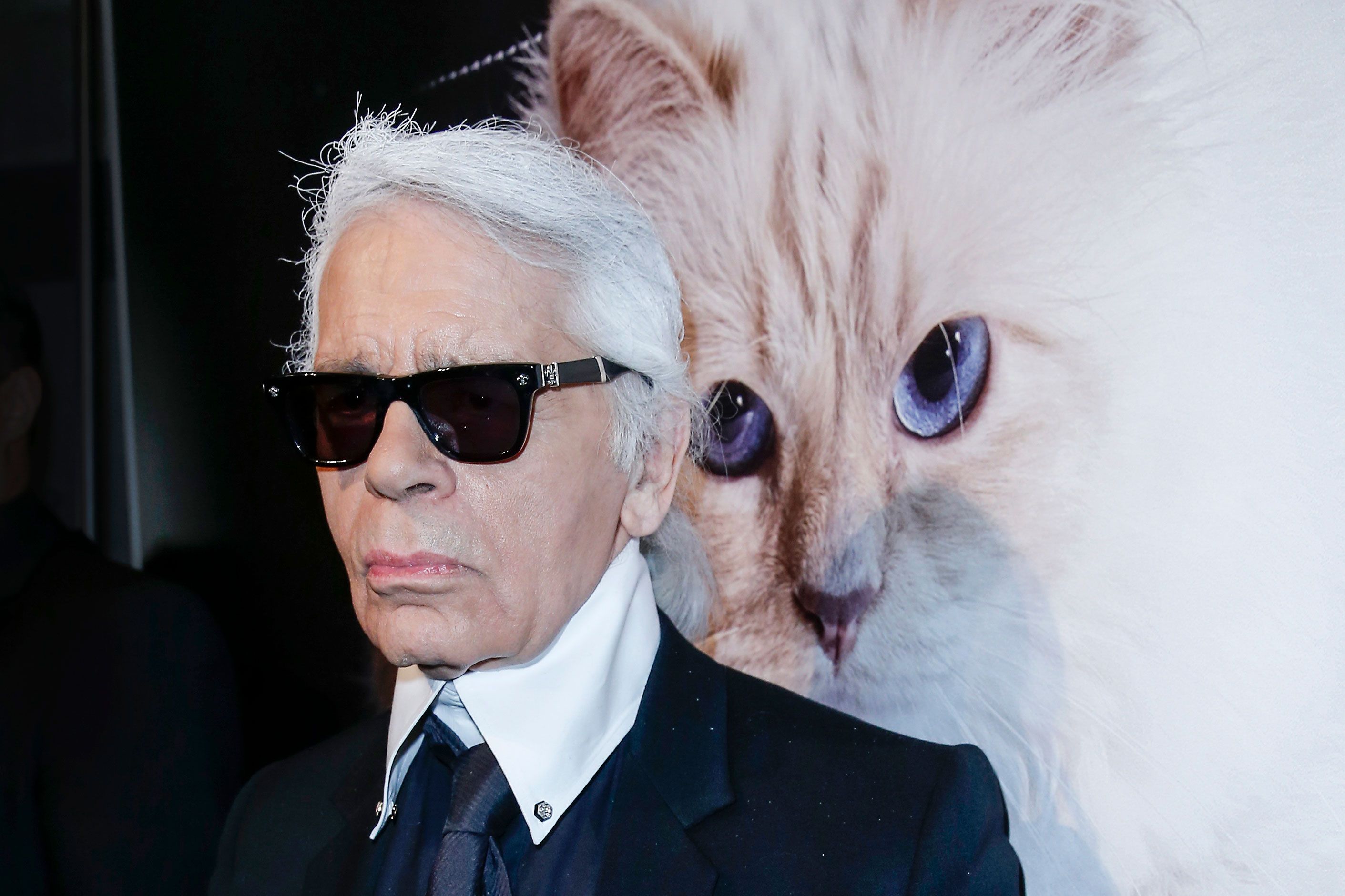 Karl Lagerfeld's cat designs her own bed (in a way)