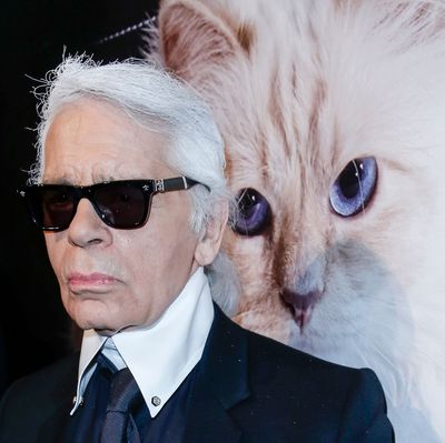 What Will Happen To Choupette Lagerfeld’s Inheritance
