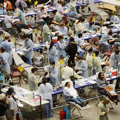 Dental work is performed as part of a free health care service at the Care Harbor clinic at the Los Angeles Sports Arena on September 27, 2012 in Los Angeles, California. Care Harbor is expected to give free medical, dental and vision care to 4,800 uninsured patients at the event, which runs from September 27-30. In Los Angeles County it is reported that 2.2 million people do not have health insurance, which includes an estimated 227,000 young and school-aged children.