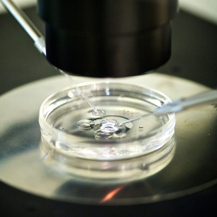 A British Scientist Just Got Approval to Begin Gene-Editing Embryos