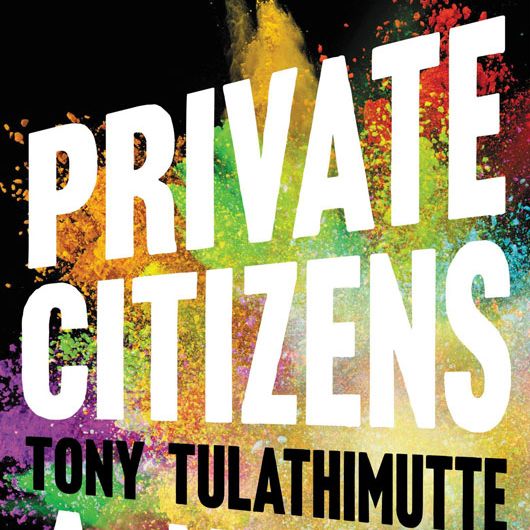 Tony Tulathimutte's Private Citizens: Finally, Millennial Heroes and  Heroines in a Great American Novel