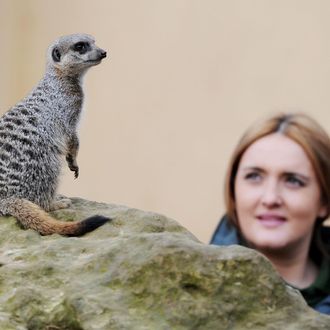 Zoo keeper Caroline Westlake poses for p