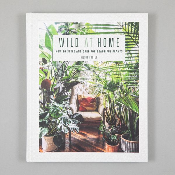 ‘Wild at Home,' by Hilton Carter