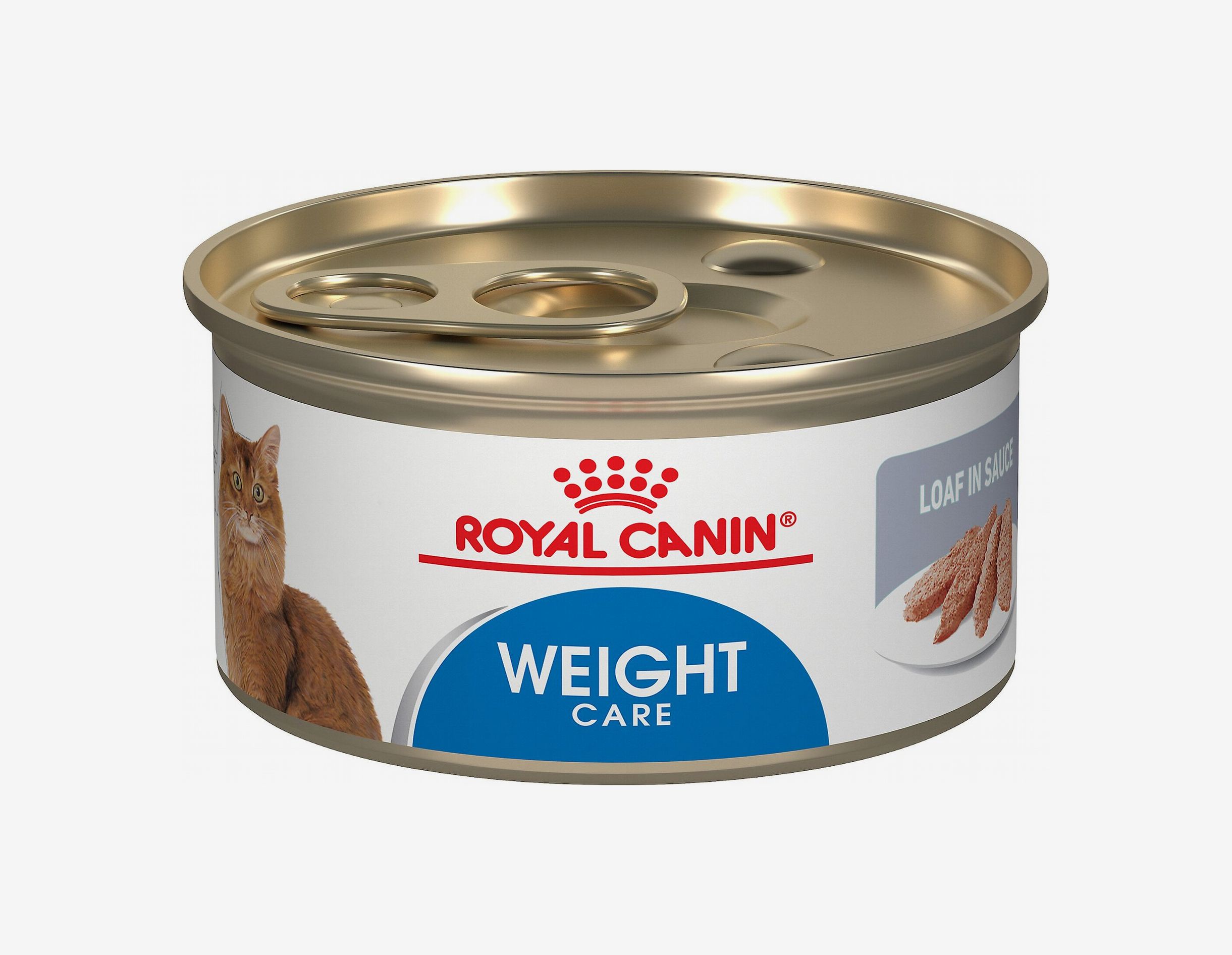 Food For Old Cats With No Teeth Ppgbbe intranet biologia ufrj br