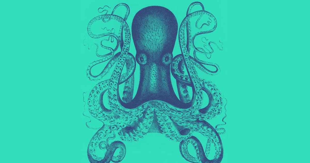 Asian Octopus Sex