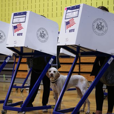 Ballot Proposals On Redistricting, Voting Fail In New York