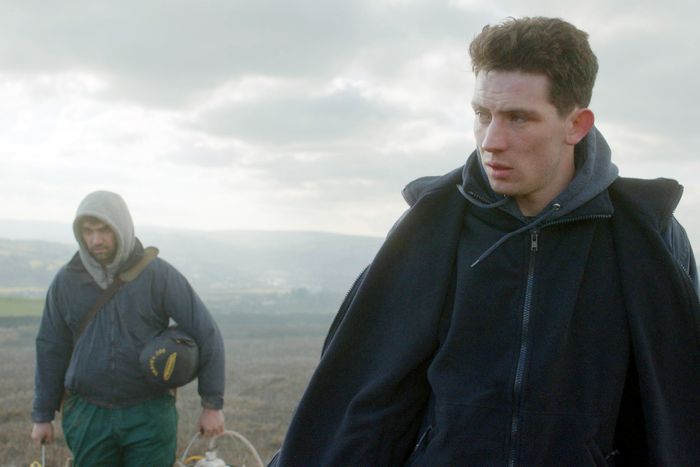 GOD’S OWN COUNTRY, from left, Alec Secareanu, Josh O’Connor, 2017. �Courtesy Everett Collection