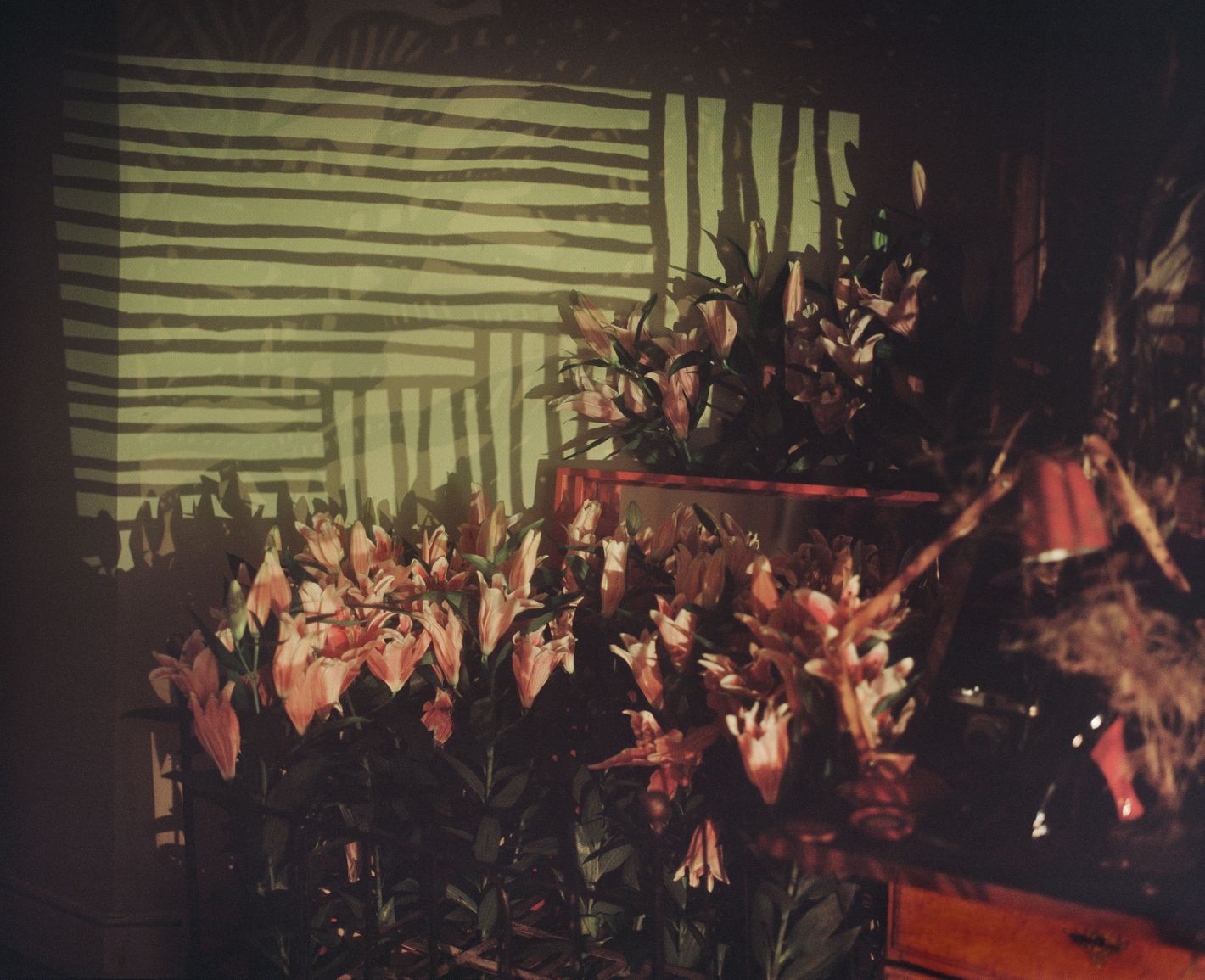 Surreal World: Martina Hoogland Ivanow Layers Fall's