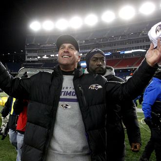 Head coach John Harbaugh of the Baltimore Ravens celebrates after defeating the New England Patriots in the 2013 AFC Championship game at Gillette Stadium on January 20, 2013 in Foxboro, Massachusetts. The Baltimore Ravens defeated the New England Patriots 28-13.