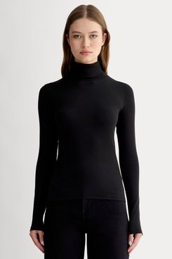 Everlane The Luxe Rib Turtleneck