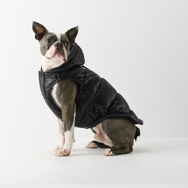 Aritzia The Super Ruff Puff–Hi-Gloss