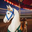 Long Exposure Photo of White Carousel Horse on A Spinning Carousel With The Lights In The Background Blurred With The Motion of The Carousel. Florida, United States of America