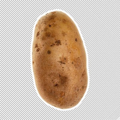 Have A Gay Day - I think everyone needs a Positive Potato