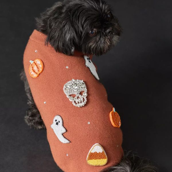 Anthropologie Beaded Icon Halloween Pet Sweater