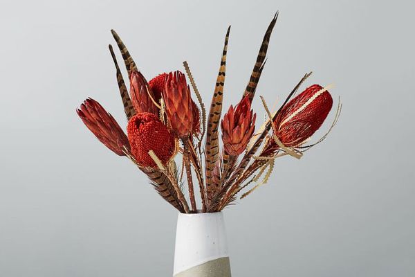 Metaflora Dried Red Banksia + Protea + Feathers Bouquet