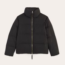 Everlane The Puffer Bomber