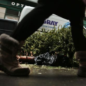 A person passes discarded Christmas trees along a sidewalk on January 14, 2014 in New York City. 