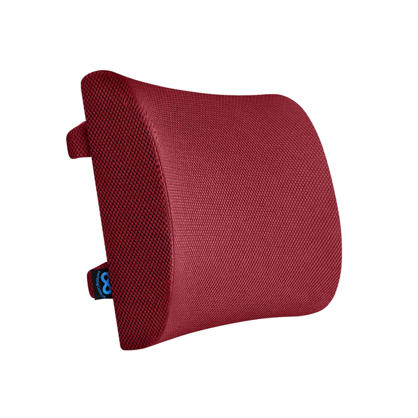 Everlasting Comfort Lumbar Support Pillow