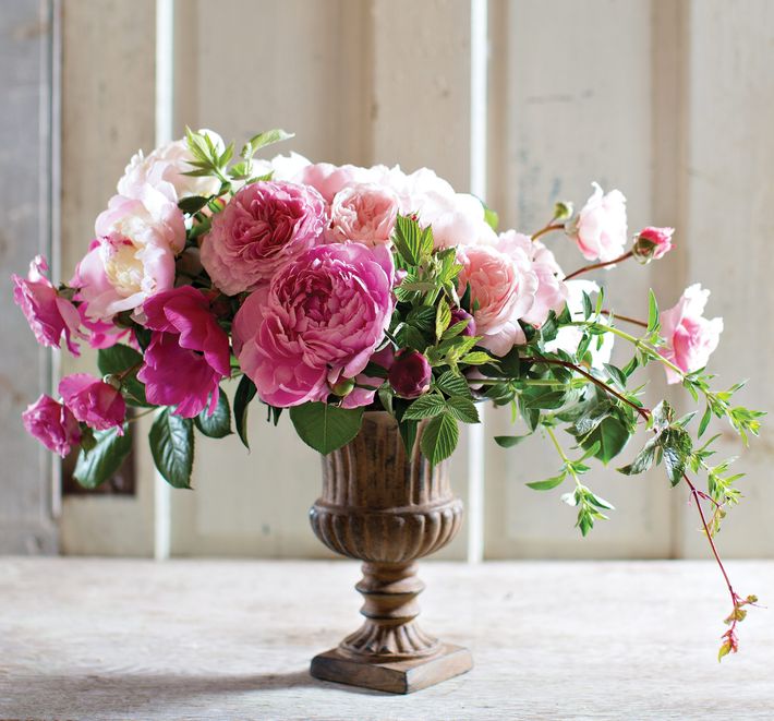 Cathy Horyn Visits Floret Flowers