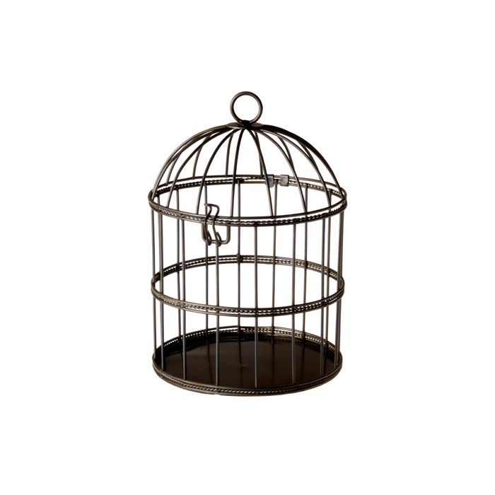 Try not to find out why the caged bar patron sings.