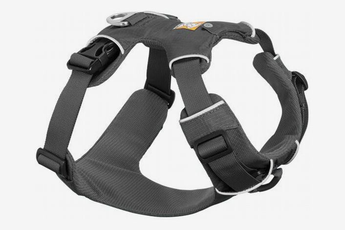 best training harness