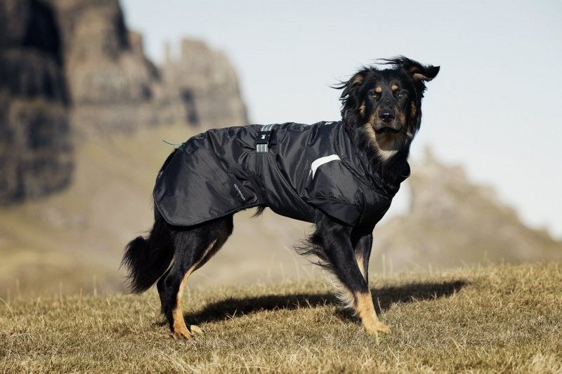 medium sized dog jackets