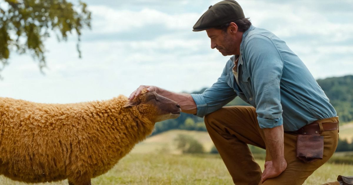 The Talking-Sheep Movie Made Me Cry