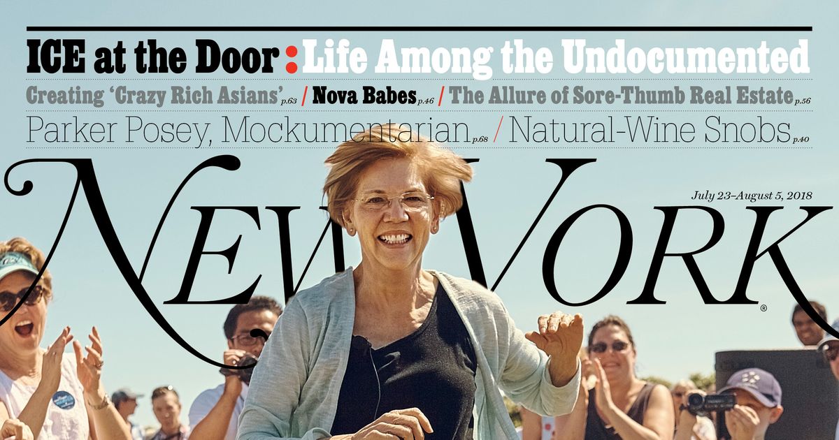 On The Cover Elizabeth Warren Leader Of The Persistence New York Media Press Room 