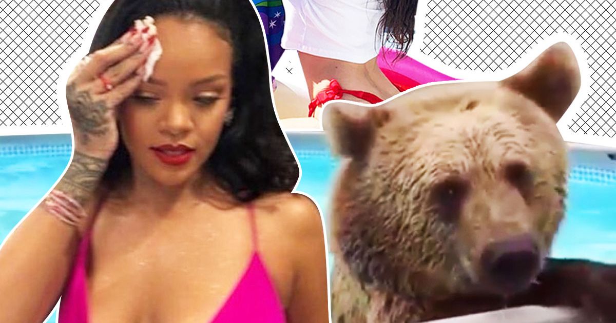 Summer Mood: Rihanna Rolling a Blunt, a Moose, and More
