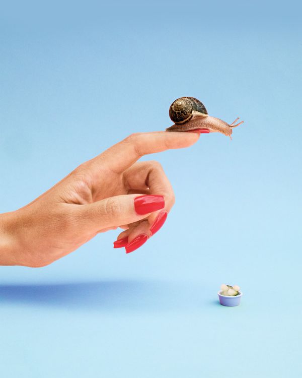 Pet stores that sell 2024 snails