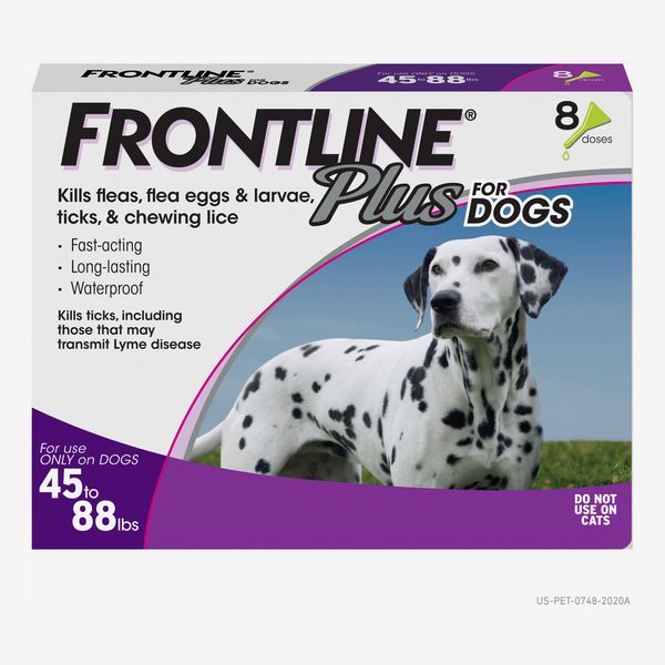 FRONTLINE Plus for Large Dog (45-88 lbs) Flea and Tick Treatment, 8 Doses