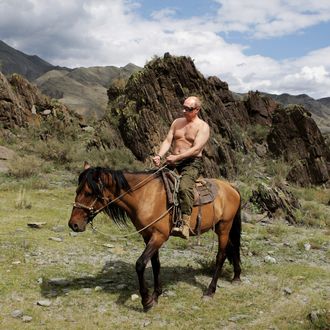 Russian Prime Minister Vladimir Putin rides a horse during his vacation outside the town of Kyzyl in Southern Siberia on August 3, 2009. 