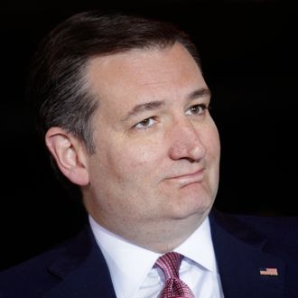 GOP Presidential Candidate Ted Cruz Campaigns In Madison, Wisconsin