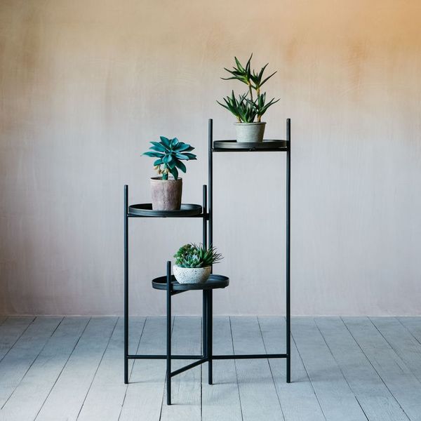 Set of Three Plant Stands