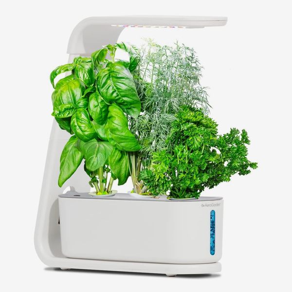 AeroGarden Sprout