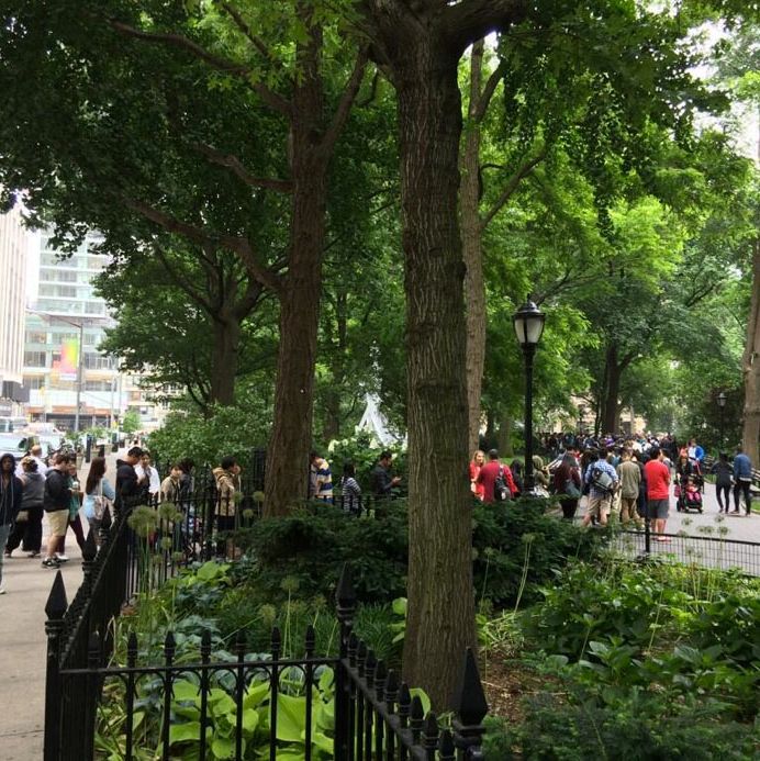 600 people were in queue before the Madison Square Park burger stand even opened.