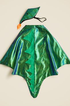 J. Crew Meri Meri™ dragon costume