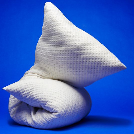 13 Best Bed Pillows 2024 | The Strategist