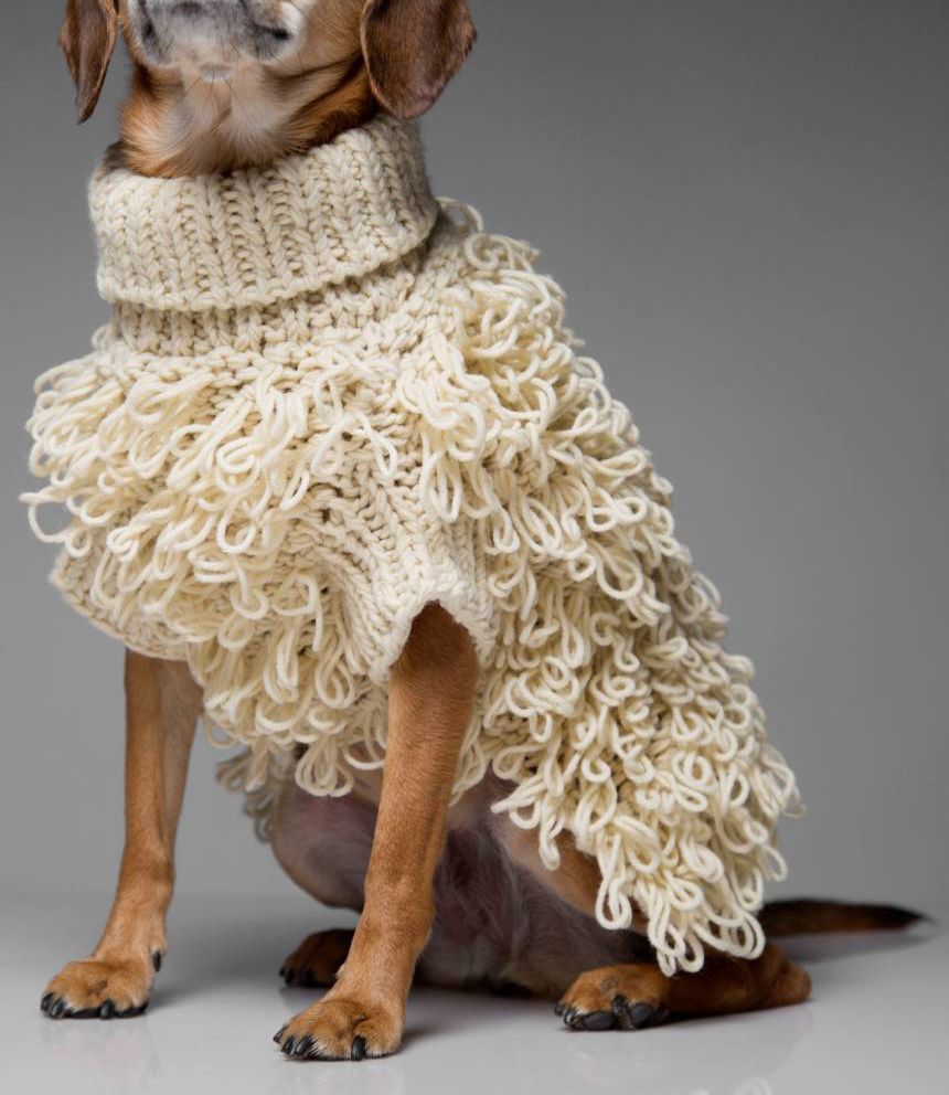 harry barker dog sweaters