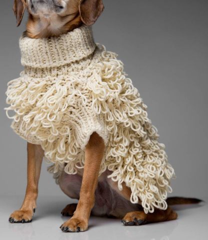 Max-Bone Curly Knit Dog Sweater